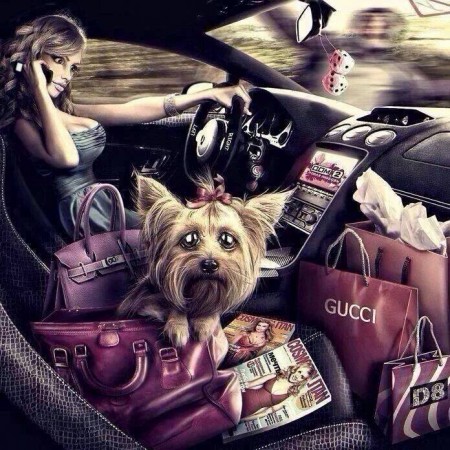 La noi nu se doneaza $ poti sa iti cumperi lucruei cat sa umpli o masina